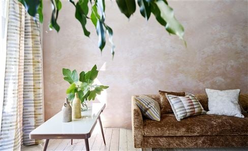 Shop Cushions