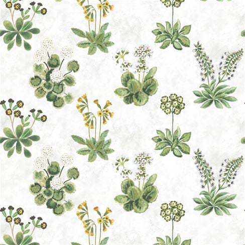 Pictorial & Botanical Printed Fabrics | Designers Guild US