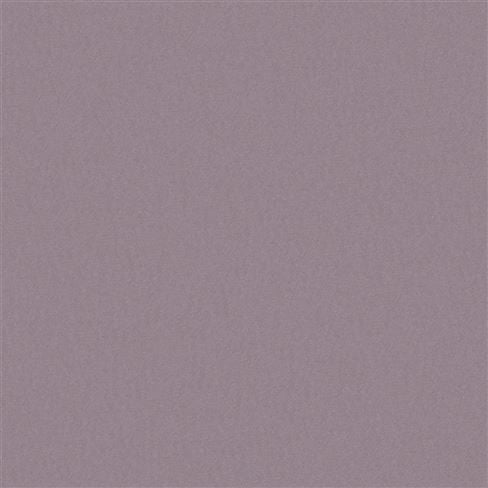 Tiber Eco Eggplant