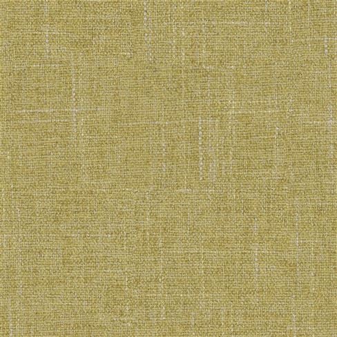 Zezere Olive