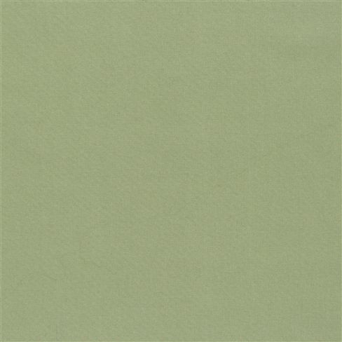 aquarelle - olive