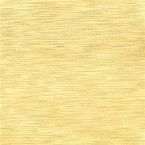 pampas - primrose