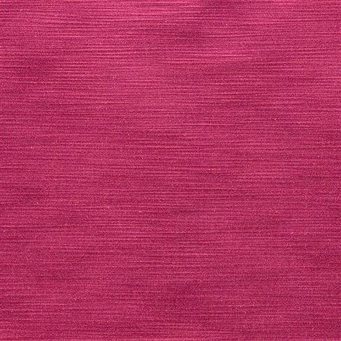 pampas - fuchsia