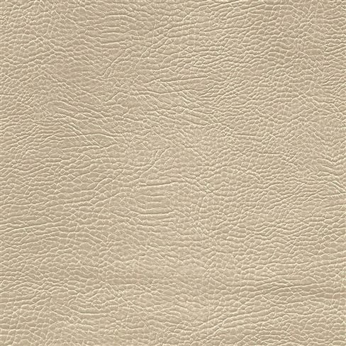 mojave - putty
