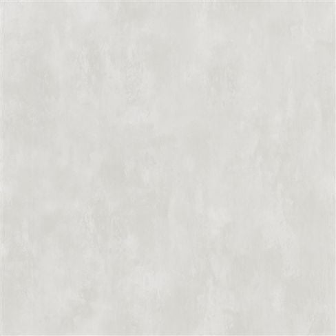 Parchment - Silver Birch