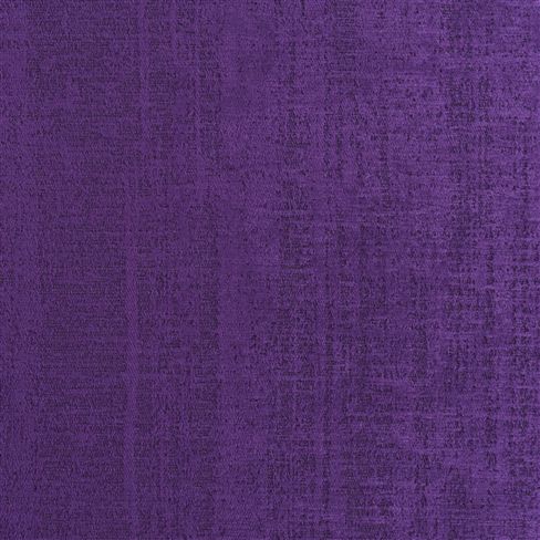 Ampara Violet