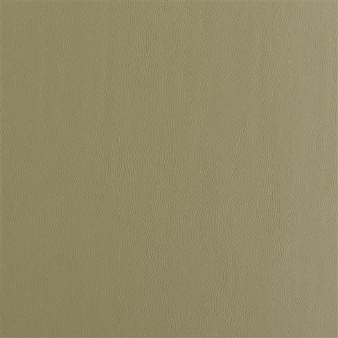 Matara Olive