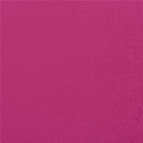 Trentino Magenta