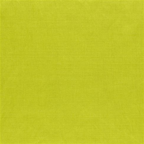 arietta - alchemilla