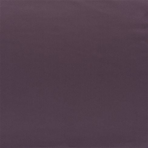 Tizzoro Plum