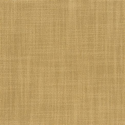 panaro - nutmeg