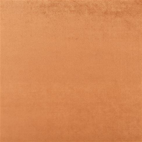 Vicenza Russet