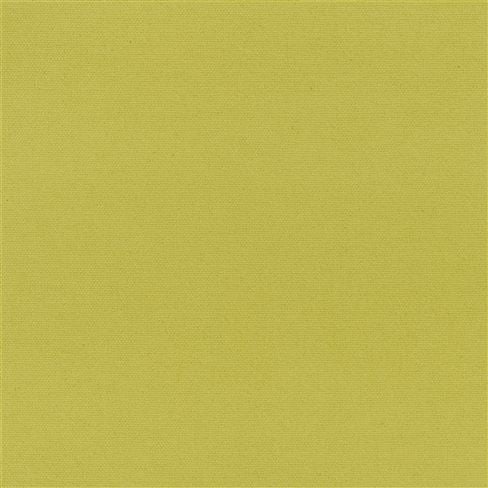 Madrid Lime