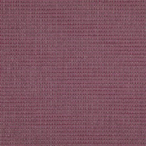 Newton Magenta 