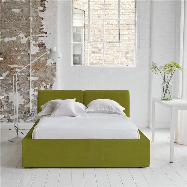 Cassia - Moss