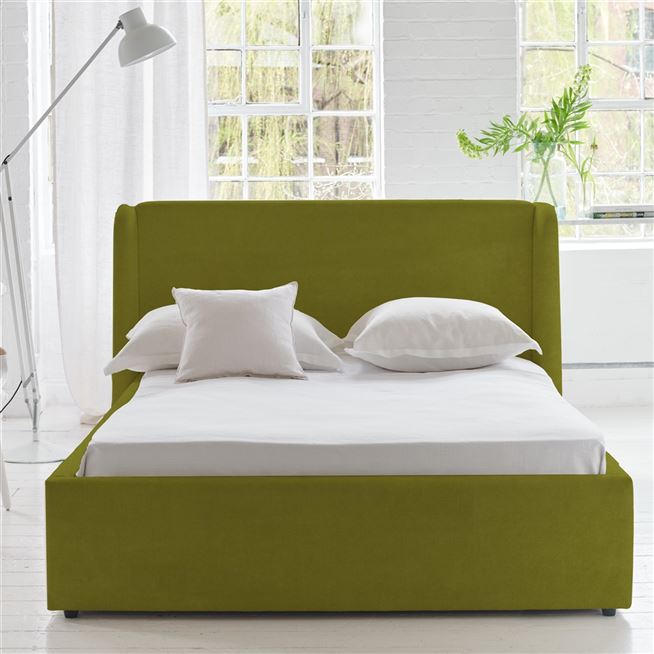 Cassia - Moss