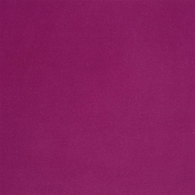 Cassia Velvet - Magenta