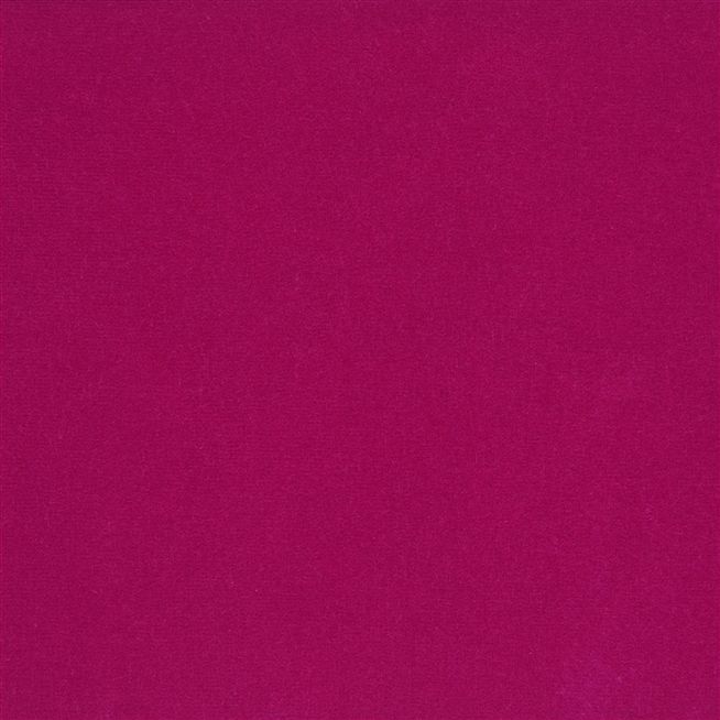 Cassia - Fuchsia