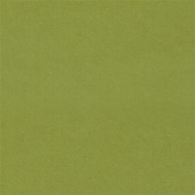 Cassia - Apple