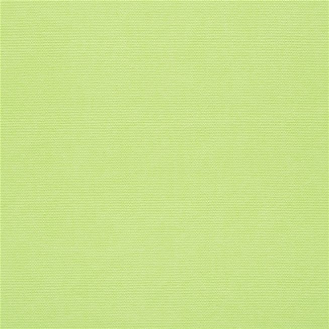 Canvas - Lime Cutting