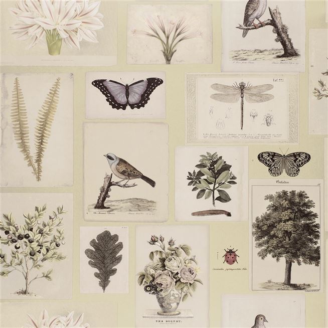 Flora And Fauna Canvas