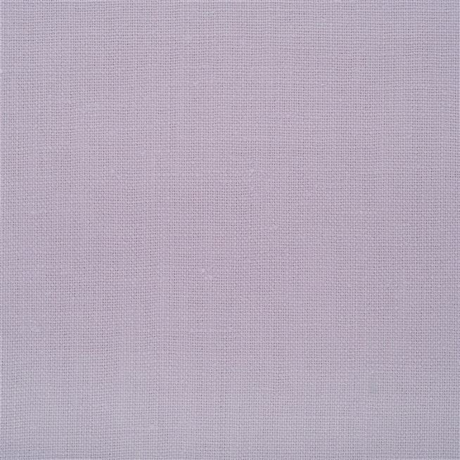Conway - Orchid