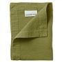 Lario Moss Placemat