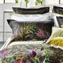 Indian Sunflower Graphite Shams