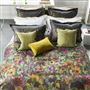 Indian Sunflower Graphite Shams