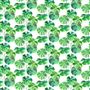 brahmi outdoor - leaf