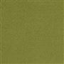 anshu - leaf