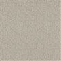vezzano - parchment