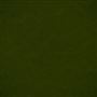 matara lucida - olive