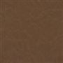 matara lucida - chestnut
