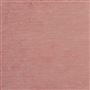tarazona - rose