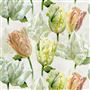 spring tulip - buttermilk