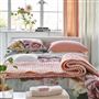 Chenevard Blossom & Peach Quilts & Pillowcases