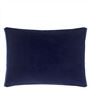 Odisha Cobalt Cushion - Reverse