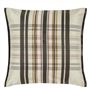 Chennai Birch Cushion - Reverse