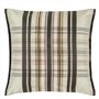 Chennai Birch Cushion - Reverse