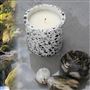 Waterfall 300g Candle