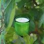 Green Fig 220g Candle