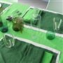 Linge De Table Lario Fern 