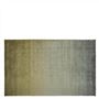 Savoie Olive Standard Rug