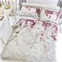 Shinsha Blossom Cotton Bed Linen