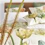 Spring Tulip Buttermilk Shams