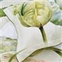 Spring Tulip Buttermilk Shams