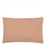 Loweswater Nutmeg Pack of 2 Pillowcase