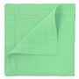 Lario Mint Napkins Set of 4