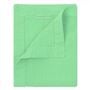 Lario Mint Placemats Set of 4